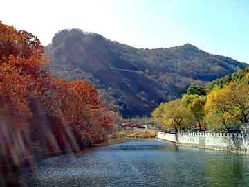 澳門(mén)雷鋒心水網(wǎng)論壇4949網(wǎng)，探索澳門(mén)社區(qū)的獨(dú)特魅力與互助精神