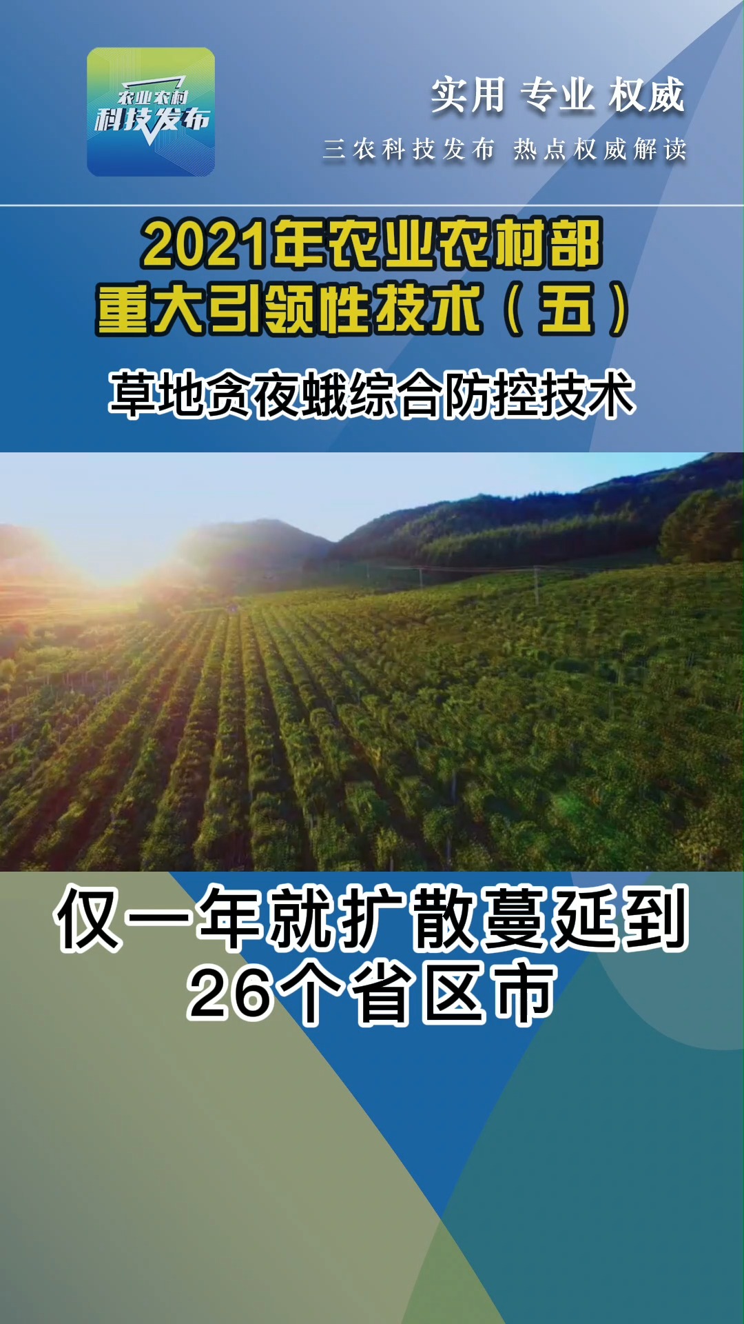 除草劑最新進(jìn)展，創(chuàng)新技術(shù)引領(lǐng)農(nóng)業(yè)變革