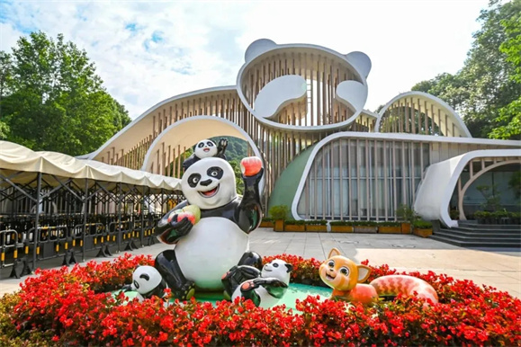 成都熊貓谷最新動態(tài)與魅力展現