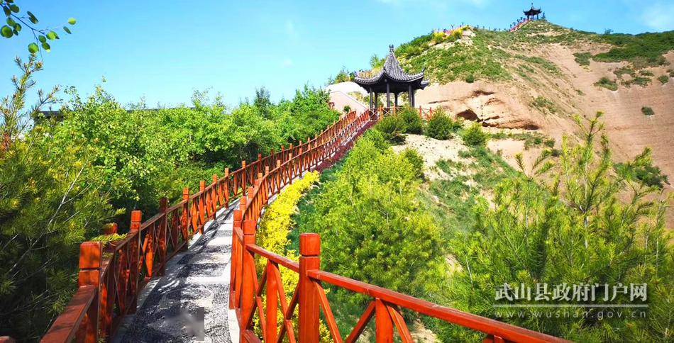 通靈直購最新動(dòng)態(tài)，革新之路與消費(fèi)者福祉的共贏