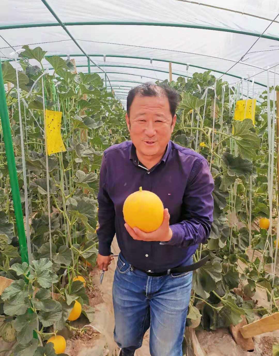新疆最新喀什疫情，防控措施與公眾反響