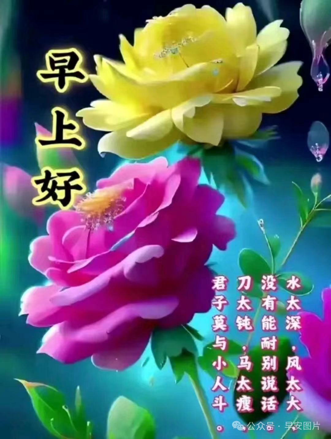 最新年祝福寄語(yǔ)，愿美好與你同在