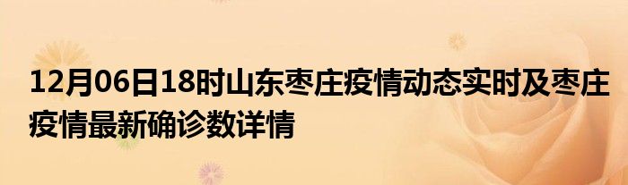 栆莊疫情最新動態(tài)分析