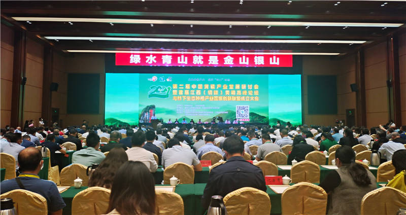 關于強直的最新藥物研究進展及其藥物應用概述