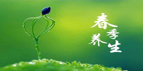 最新年春好，萬物復(fù)蘇與生機勃發(fā)的序曲