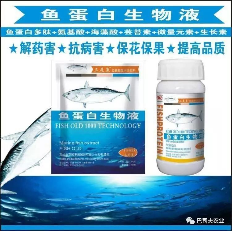 最新的溶栓劑，重塑心血管疾病治療的未來