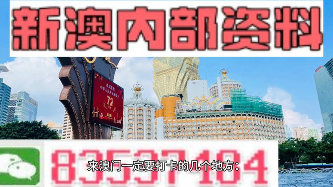 關于新澳門2024年正版免費公開，一個關于犯罪與法律的探討