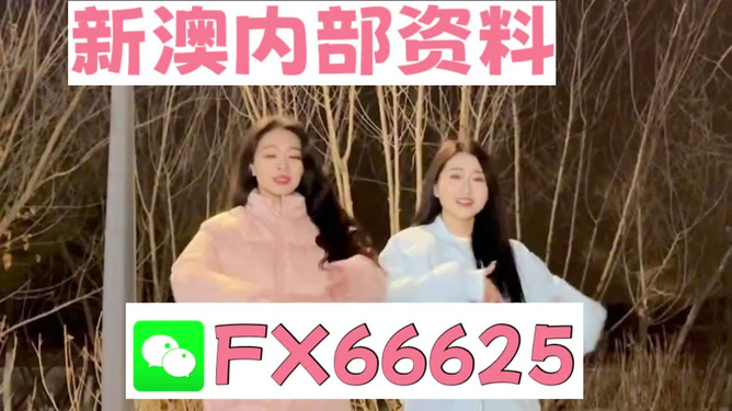 揭秘管家婆一碼一肖，精準預(yù)測背后的秘密