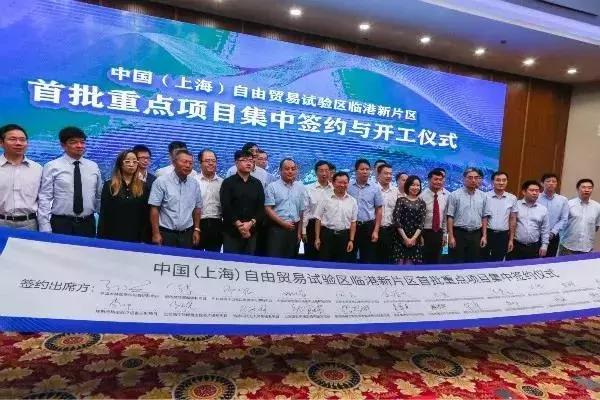 新奧天天正版資料大全，探索與解析