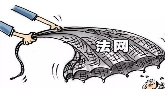 一肖一碼，揭秘背后的犯罪風(fēng)險與應(yīng)對之道（不少于1596字）
