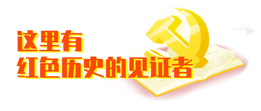 2024正版資料免費(fèi)公開(kāi)，共享知識(shí)，共創(chuàng)未來(lái)