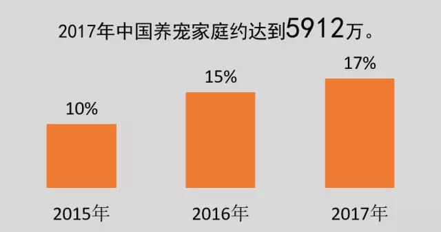 一碼一肖，揭秘背后的犯罪問(wèn)題（標(biāo)題）