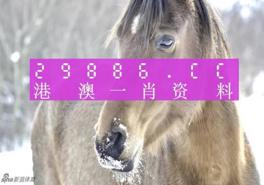 澳門(mén)一肖一碼100準(zhǔn)免費(fèi)資料，揭示背后的真相與風(fēng)險(xiǎn)
