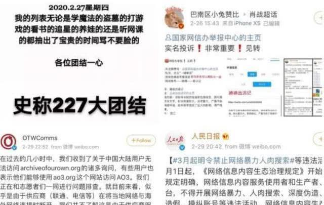 澳門管家婆一碼一肖，揭秘背后的違法犯罪問題