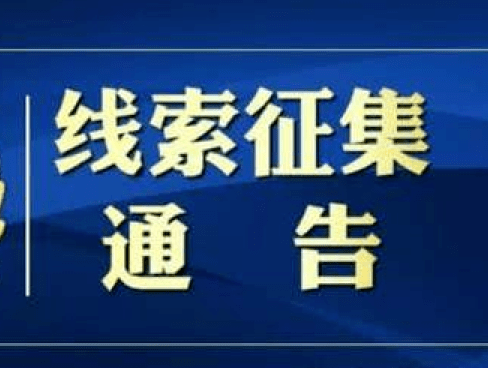澳門正版精準(zhǔn)免費(fèi)大全，揭示違法犯罪的危害與警示