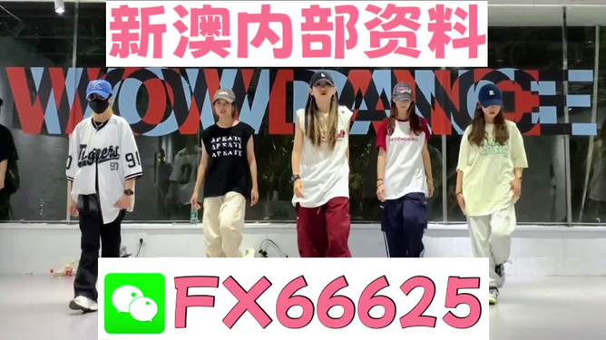 管家婆一碼一肖資料免費(fèi)公開(kāi)，揭示背后的真相與法律邊界
