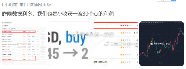 精準一肖，探尋百分之百準確與精準的含義