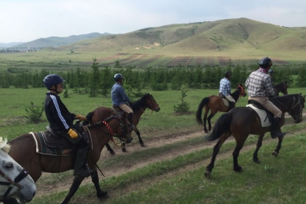 關(guān)于澳門特馬今晚開獎一與違法犯罪問題的探討