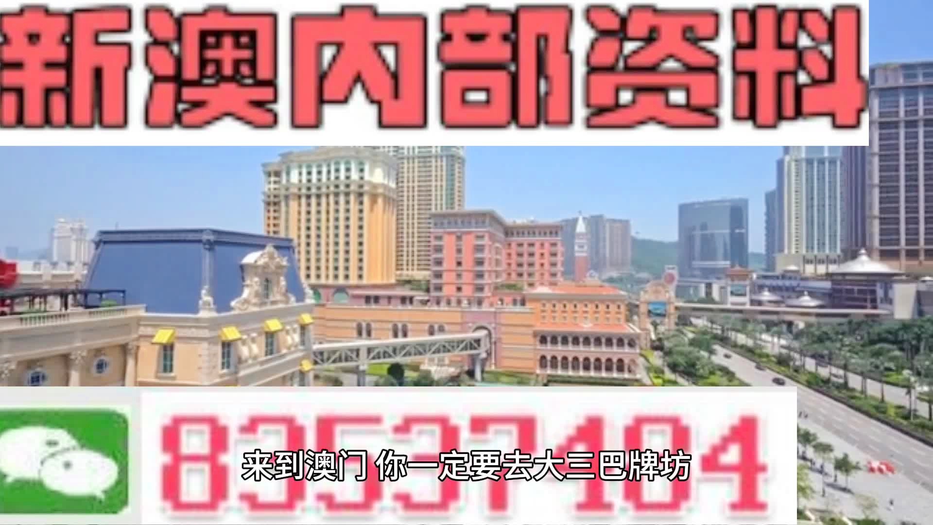 新澳門免費(fèi)全年資料查詢，探索與解讀