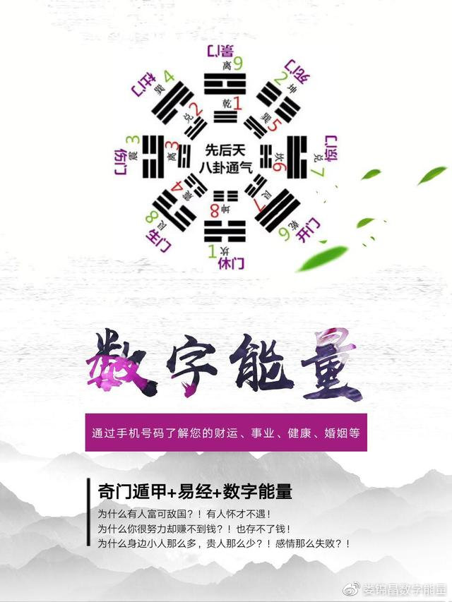 全新版跑狗圖解析，探索神秘的數(shù)字組合77777與88888