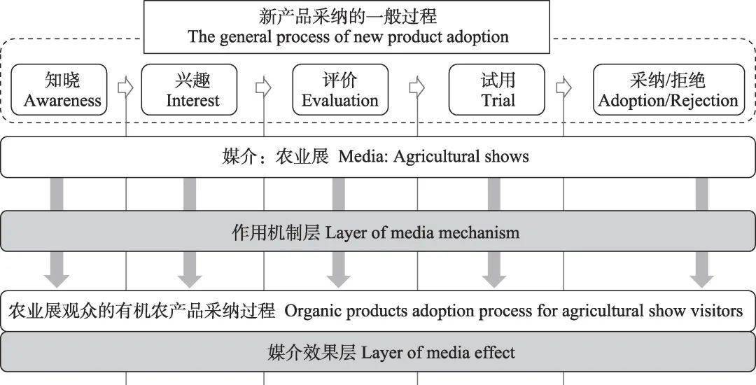 澳門三肖三碼精準(zhǔn)100，詞語背后的犯罪問題及其解釋落實的重要性