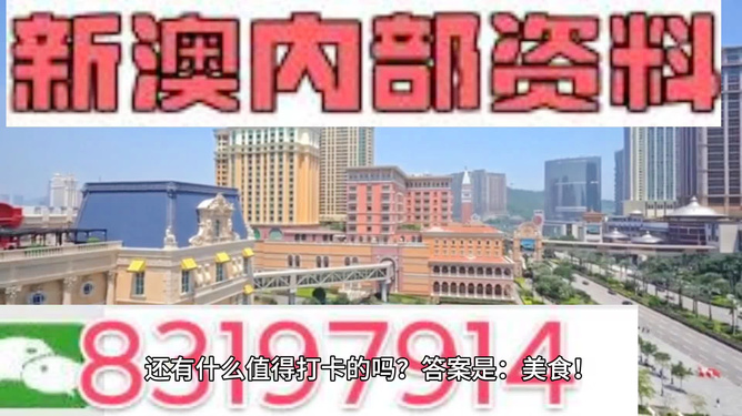關于新澳精準正版資料與詞語釋義解釋落實的文章