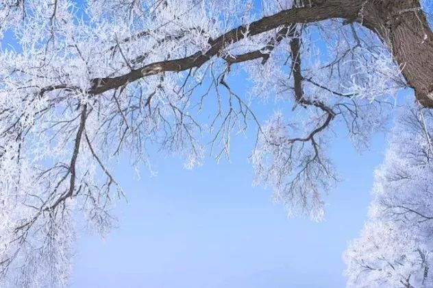 探索與理解，關(guān)于新澳正版免費(fèi)資料大全與詞語釋義的落實
