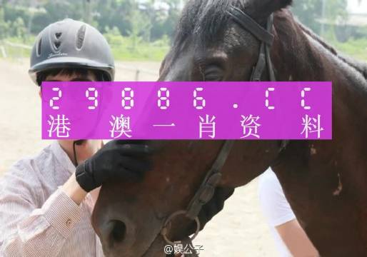 一肖一碼一必中一肖——深度解讀與詞語釋義解釋落實(shí)