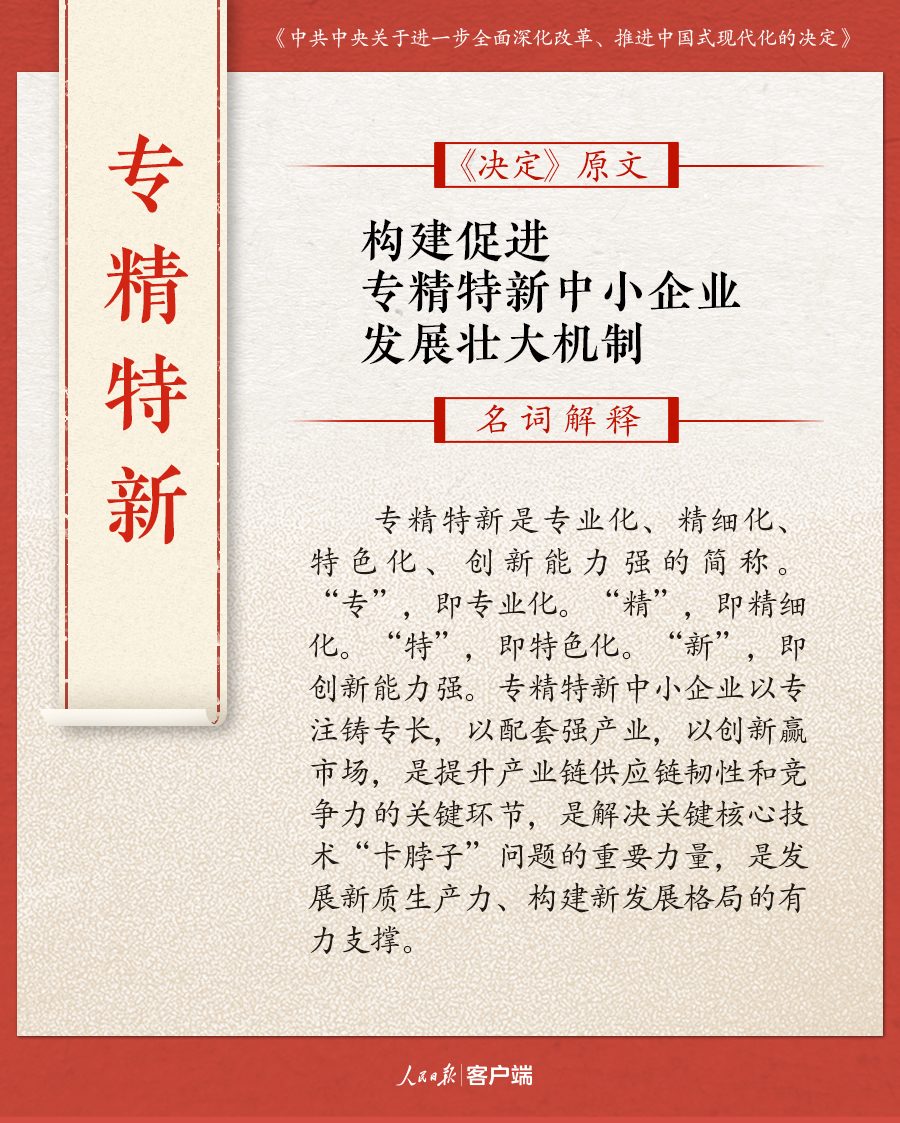 揭秘與探索，關(guān)于2024正版資料免費(fèi)公開(kāi)與詞語(yǔ)釋義解釋落實(shí)的深度解讀
