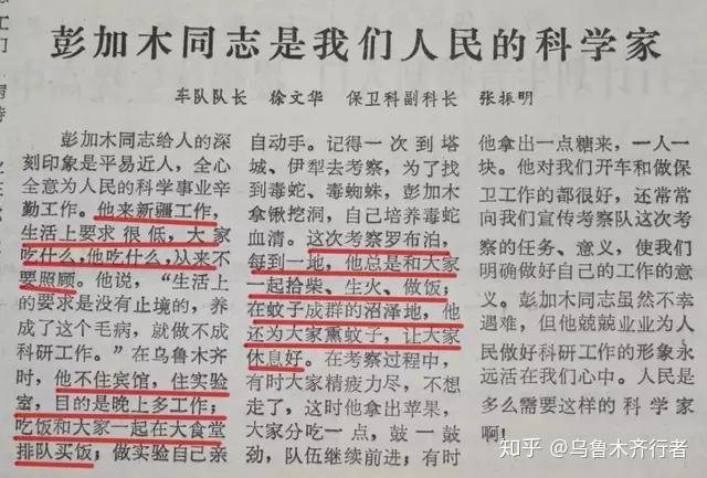 澳門正版資料大全免費(fèi)與詞語釋義解釋落實(shí)，揭示背后的真相與警示