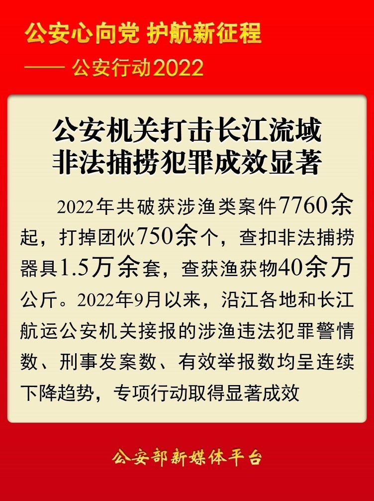 澳門正版精準(zhǔn)免費(fèi)掛牌，詞語釋義與落實(shí)策略探討