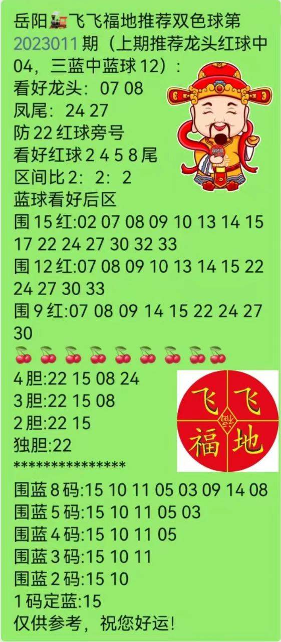關于新澳天天開獎資料大全第1052期的詞語釋義與落實的探討