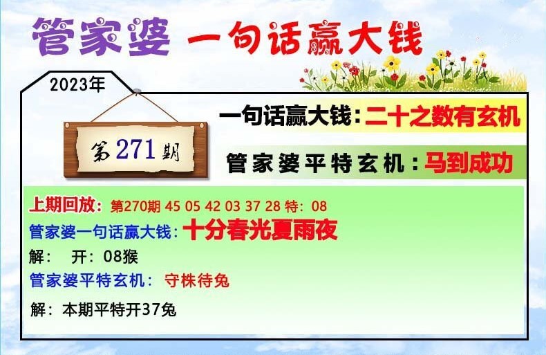 澳門一肖一碼與管家婆9995，詞語釋義及落實(shí)解釋