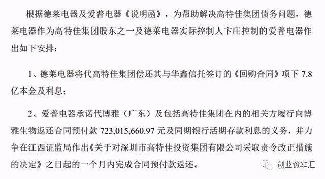 一碼一肖，揭秘預(yù)測背后的秘密與落實(shí)詞語釋義的重要性