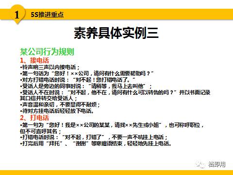 新澳2024年精準正版資料與詞語釋義解釋落實的重要性