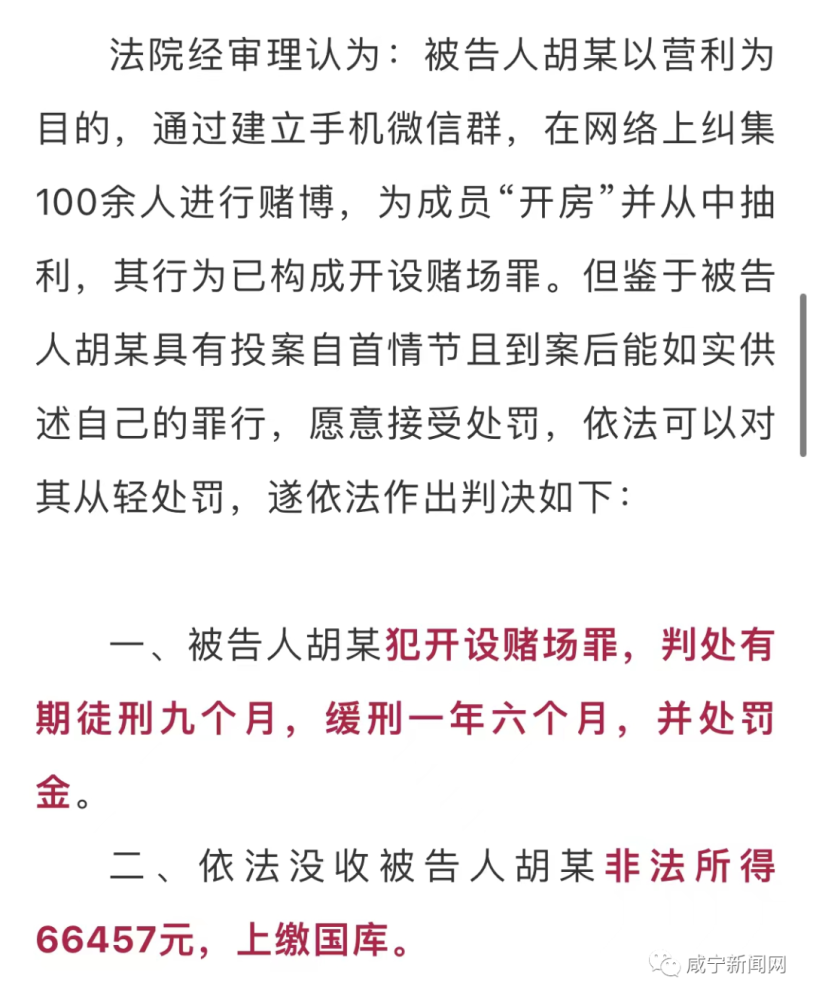警惕新澳門精準(zhǔn)四肖期中特公開，對犯罪行為的深度剖析與詞語釋義解釋落實