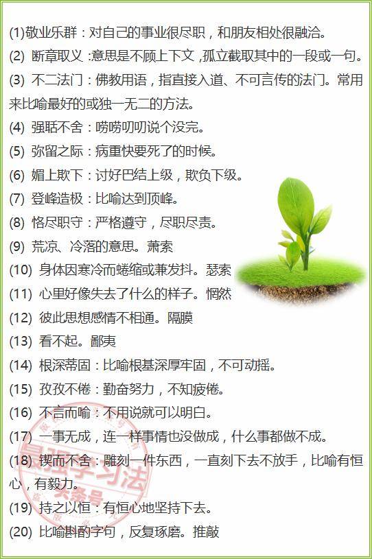 新澳門期期準(zhǔn)與詞語(yǔ)釋義解釋落實(shí)，探究背后的風(fēng)險(xiǎn)與挑戰(zhàn)