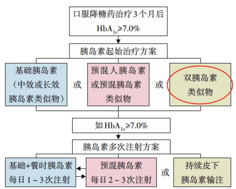 新澳姿料大全正版2024，全面解讀與詞語釋義的落實(shí)