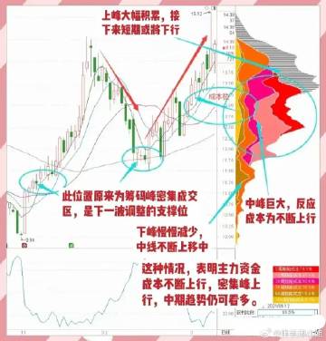 最準(zhǔn)一肖一碼一一中特，揭秘預(yù)測真相，詞語釋義與落實(shí)行動的重要性