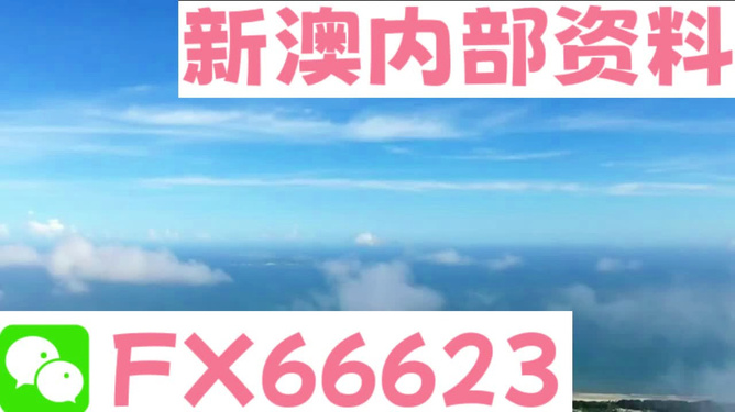 關(guān)于新澳免費資料內(nèi)部玄機與詞語釋義的探討