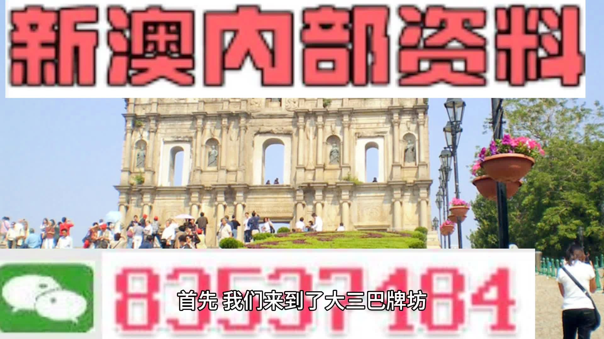 新澳2024正版資料免費(fèi)公開，詞語釋義解釋落實(shí)的重要性