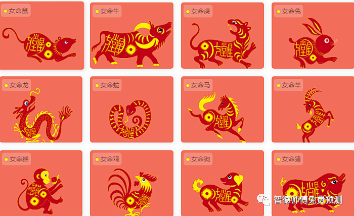 今晚必開什么生肖，預(yù)測與詞語釋義的深度解讀