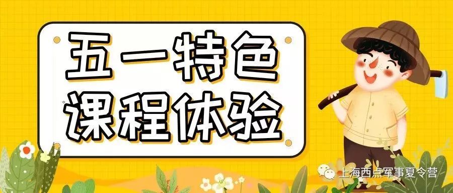 王牌兵王最新動(dòng)態(tài)，熱血戰(zhàn)場(chǎng)上的榮耀與傳奇
