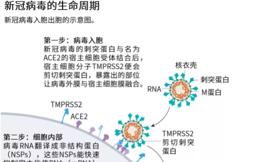 最新病毒新藥，突破與希望