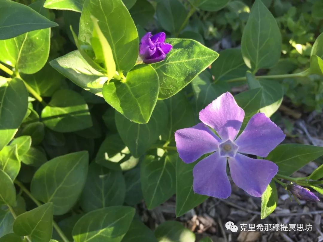 克氏最新信息，探索前沿，揭示發(fā)展動態(tài)