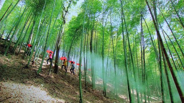 凱竹最新流出，探索與進步的步伐