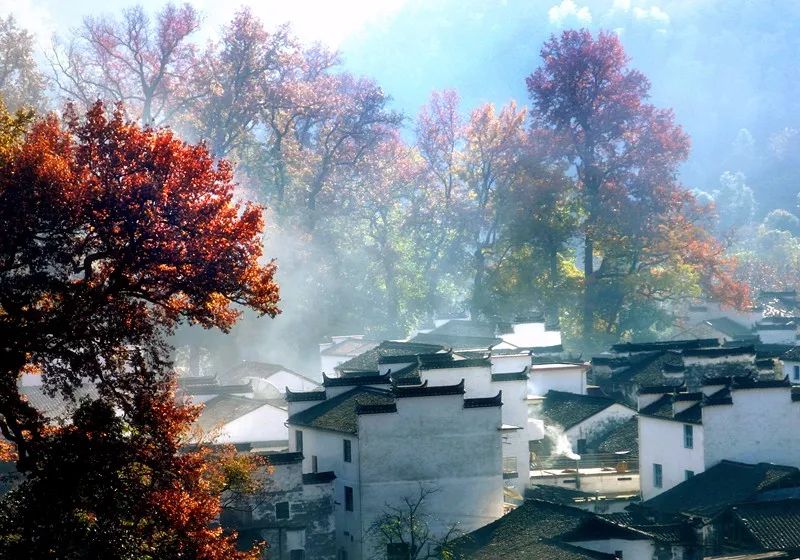 婺源最新情況，自然美景與文化底蘊(yùn)的完美融合
