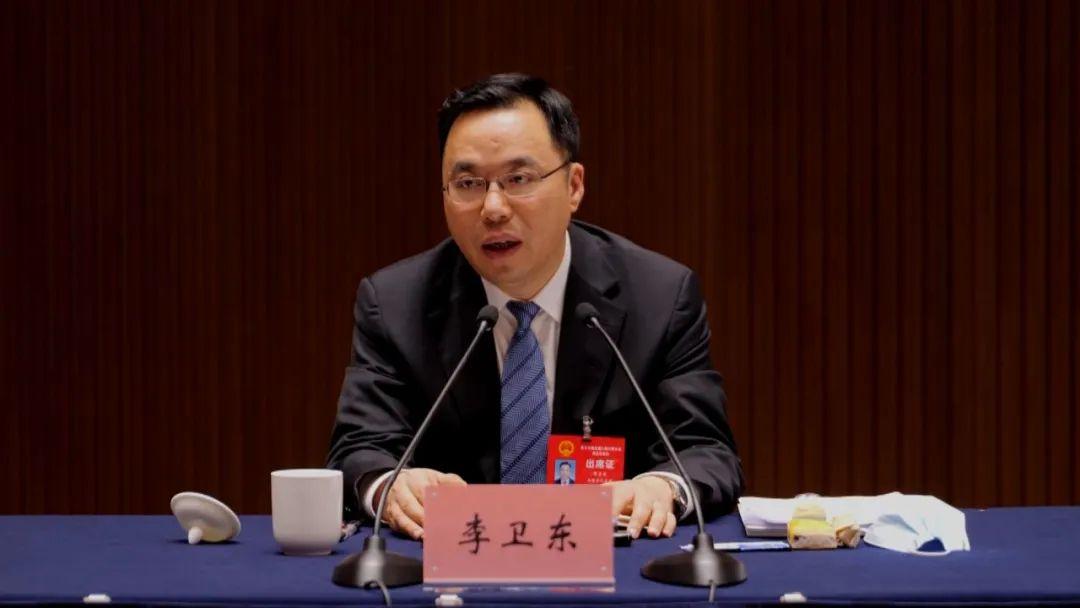 最新憲法法律，塑造公正社會的基石