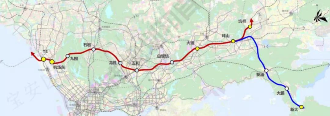 王心儀最新報(bào)道，勵(lì)志女大學(xué)生綻放新光芒