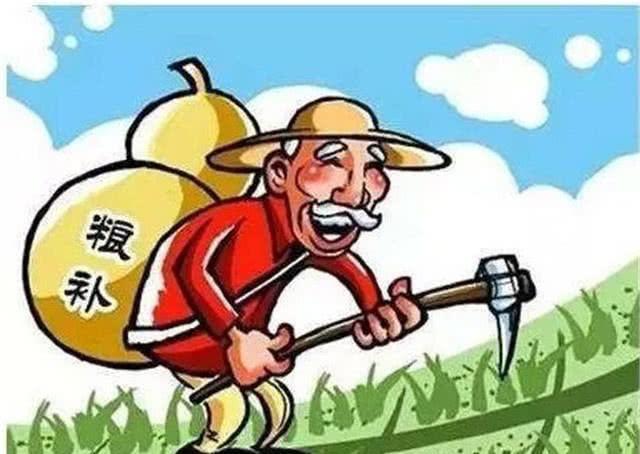 最新糧補規(guī)定，重塑糧食安全與農(nóng)民利益的共贏格局